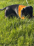 Dog bandana